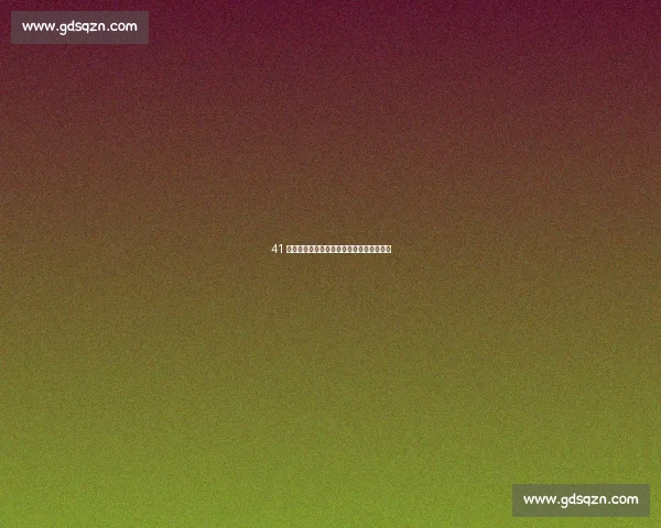 41 岁詹姆斯的最后一搏：用冠军烈火燃烧岁月